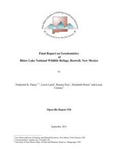 Final Report on Geochemistry of