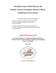 Petroleum Source Rock Data for the Brushy Canyon Formation, Delaware Basin,