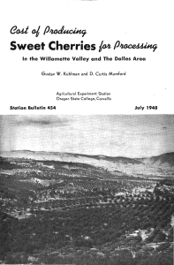 Sweet Cherries eo1 oj P4adici jo4