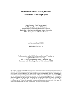 Beyond the Cost of Price Adjustment: Investments in Pricing Capital