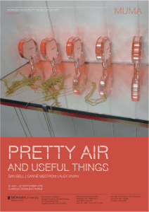 PRETTY AIR AND USEFUL THINGS Dan Bell MONASH UNIVERSITY MUSEUM OF ART