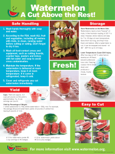Watermelon A Cut Above the Rest! Safe Handling Storage