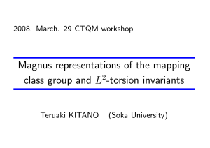 Magnus representations of the mapping L -torsion invariants 2008. March. 29 CTQM workshop