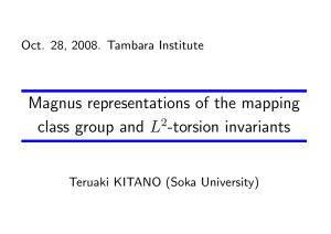 Magnus representations of the mapping L -torsion invariants Oct. 28, 2008. Tambara Institute