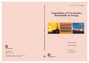 Expenditure of Low-Income Households on Energy Evidence from Africa and Asia