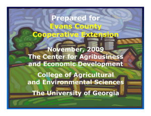 Prepared for Evans County Cooperative Extension