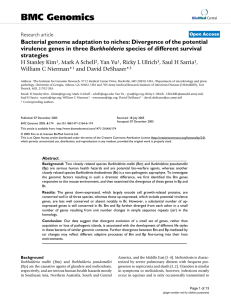 BMC Genomics Bacterial genome adaptation to niches: Divergence of the potential Burkholderia strategies