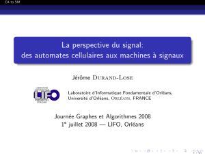 La perspective du signal: des automates cellulaires aux machines `a signaux