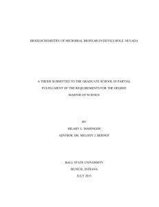 BIOGEOCHEMISTRY OF MICROBIAL BIOFILMS IN DEVILS HOLE, NEVADA