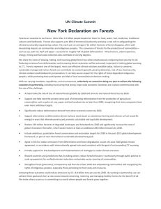 New York Declaration on Forests UN Climate Summit