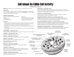 Cell-icious! An Edible Cell Activity Middle School Science
