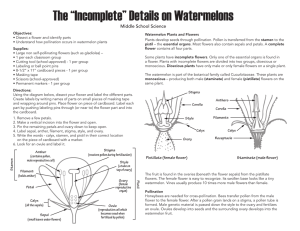 The “Incomplete” Details on Watermelons Middle School Science