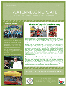 WATERMELON UPDATE  Marine Corps Marathon 2015