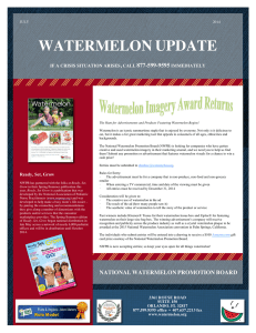 WATERMELON UPDATE  ,