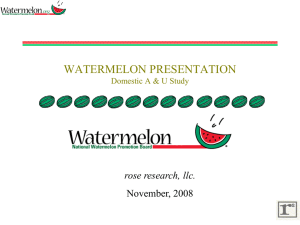 WATERMELON PRESENTATION rose research, llc. November, 2008 Domestic A &amp; U Study
