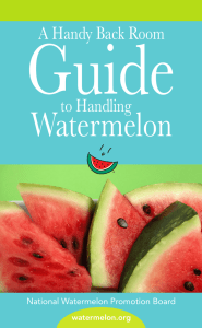 Guide Watermelon A Handy Back Room to Handling