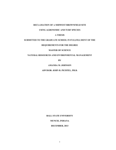 RECLAMATION OF A MIDWEST BROWNFIELD SITE USING AGRONOMIC AND TURF SPECIES
