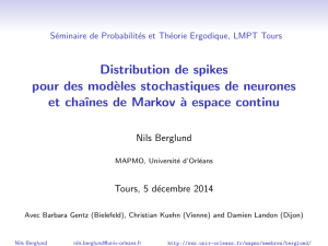 Distribution de spikes pour des mod` eles stochastiques de neurones