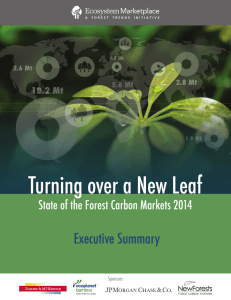 Turning over a New Leaf Executive Summary 18.2 Mt