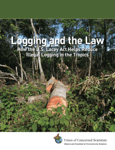 Logging and the Law How the U.S. Lacey Act Helps Reduce
