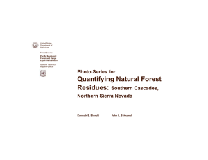 Quantifying Natural Forest Residues: Photo Series for Southern Cascades,