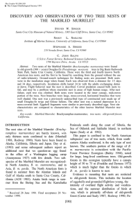 DISCOVERY AND OBSERVATIONS OF TWO TREE NESTS OF THE MARBLED MURRELET  L.