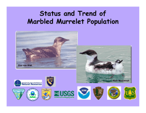 Status and Trend of Marbled Murrelet Population Gus van Vliet Rich MacIntosh