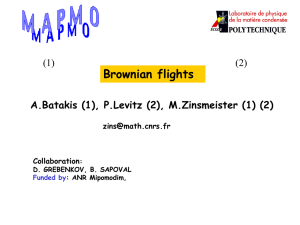 Brownian flights A.Batakis (1), P.Levitz (2), M.Zinsmeister (1) (2) (1) (2)