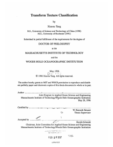 Transform Texture  Classification by Xiaoou Tang