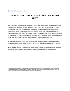 Investigating a Deep Sea Mystery KEY  