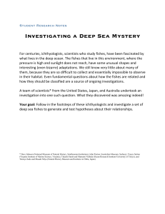 Investigating a Deep Sea Mystery  