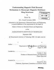 Understanding  Magnetic  Field  Reversal Ring  Structures