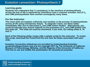 Evolution connection: Photosynthesis II Learning goals: