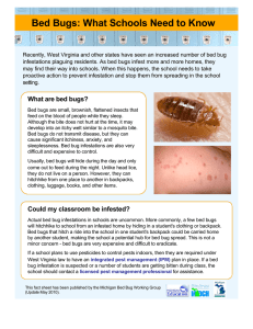 Bed Bugs: What Schools Need to Know