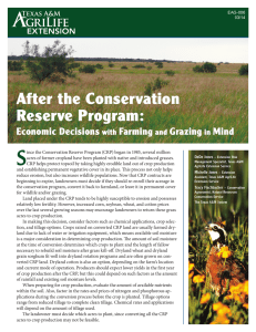 S After the Conservation Reserve Program: Economic Decisions