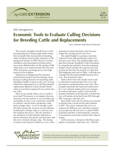 Economic Tools to Evaluate Culling Decisions for Breeding Cattle and Replacements