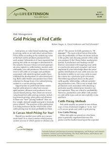 Grid Pricing of Fed Cattle Risk Management