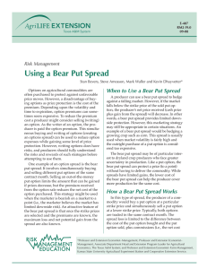 Using a Bear Put Spread Risk Management