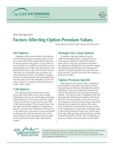 Factors Affecting Option Premium Values Put Options Strategies for Using Options Risk Management