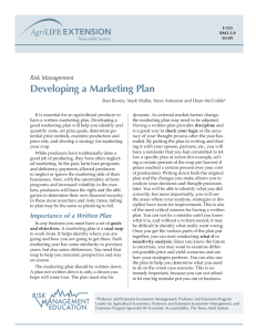 Developing a Marketing Plan Risk Management