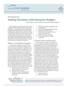Making Decisions with Enterprise Budgets Risk Management