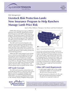 Livestock Risk Protection-Lamb: New Insurance Program to Help Ranchers Risk Management