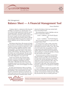 Balance Sheet — A Financial Management Tool Risk Management Danny Klinefelter*