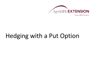 Hedging with a Put Option