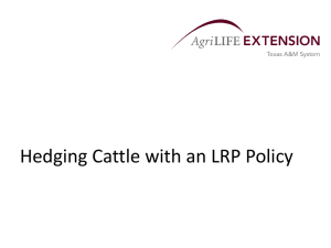 Hedging Cattle with an LRP Policy