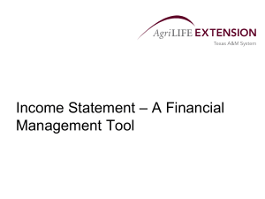 – A Financial Income Statement Management Tool