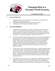 Managing Risk in a Dynamic World Economy Curriculum Guide I.
