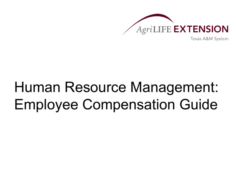 Human Resource Management Employee Compensation Guide