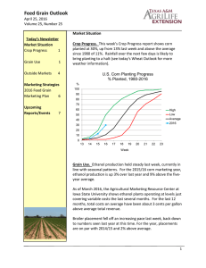 Feed Grain Outlook