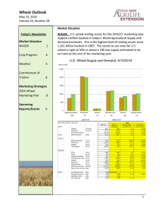 Wheat Outlook
